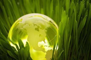 Environment Green Global Sustainable